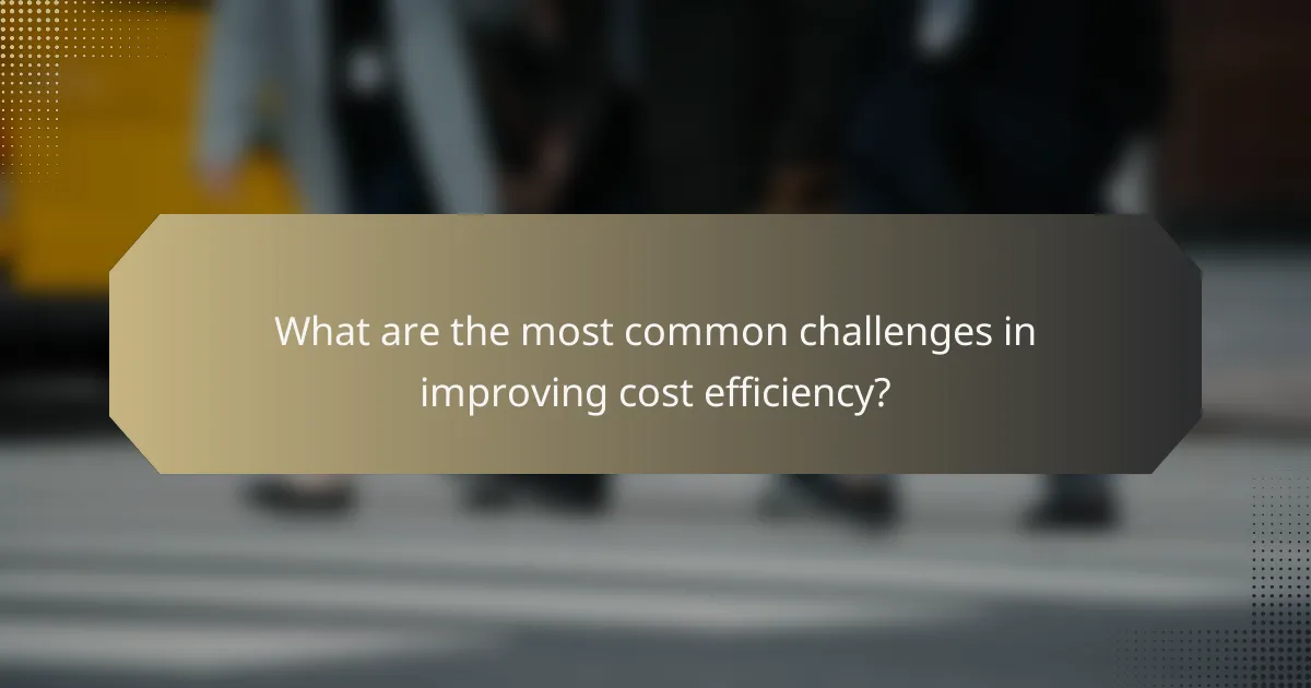 What are the most common challenges in improving cost efficiency?